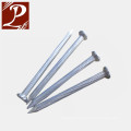 HDG square boat nails for high quality